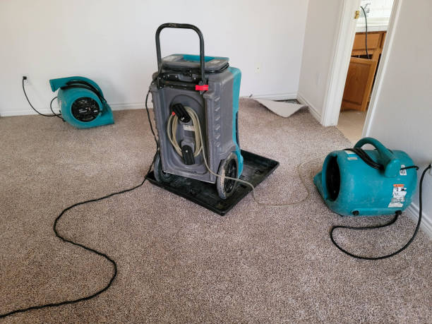 Best Water damage restoration company  in Biddeford, ME