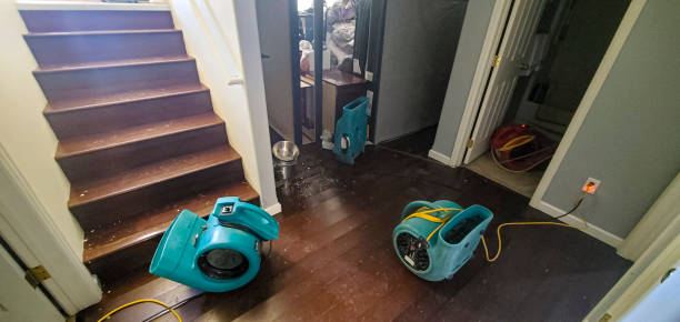 Best Basement water damage restoration  in Biddeford, ME