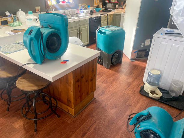Best Water damage restoration insurance claims  in Biddeford, ME