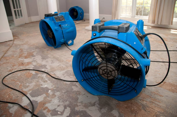 Best Water damage contractors near me  in Biddeford, ME