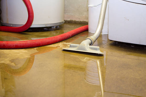 Best Sewage cleanup and water damage restoration  in Biddeford, ME