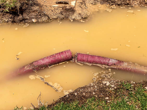 Best Local water damage restoration  in Biddeford, ME