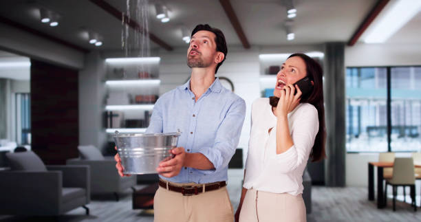 Best Flood restoration services  in Biddeford, ME