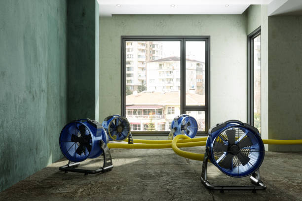 Best Water damage restoration process  in Biddeford, ME