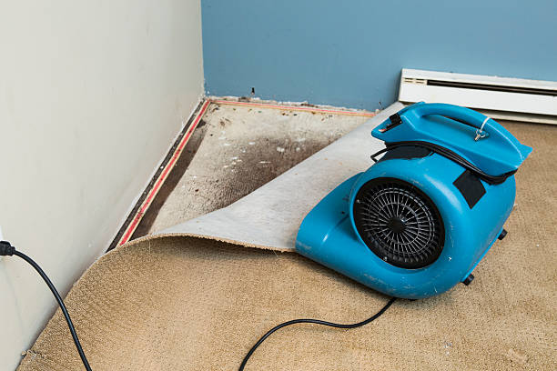 Best Commercial water damage restoration  in Biddeford, ME